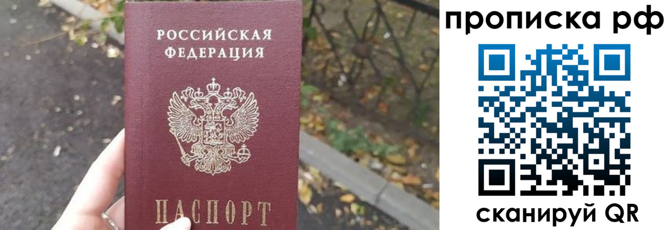 прописка штамп в Киселёвске